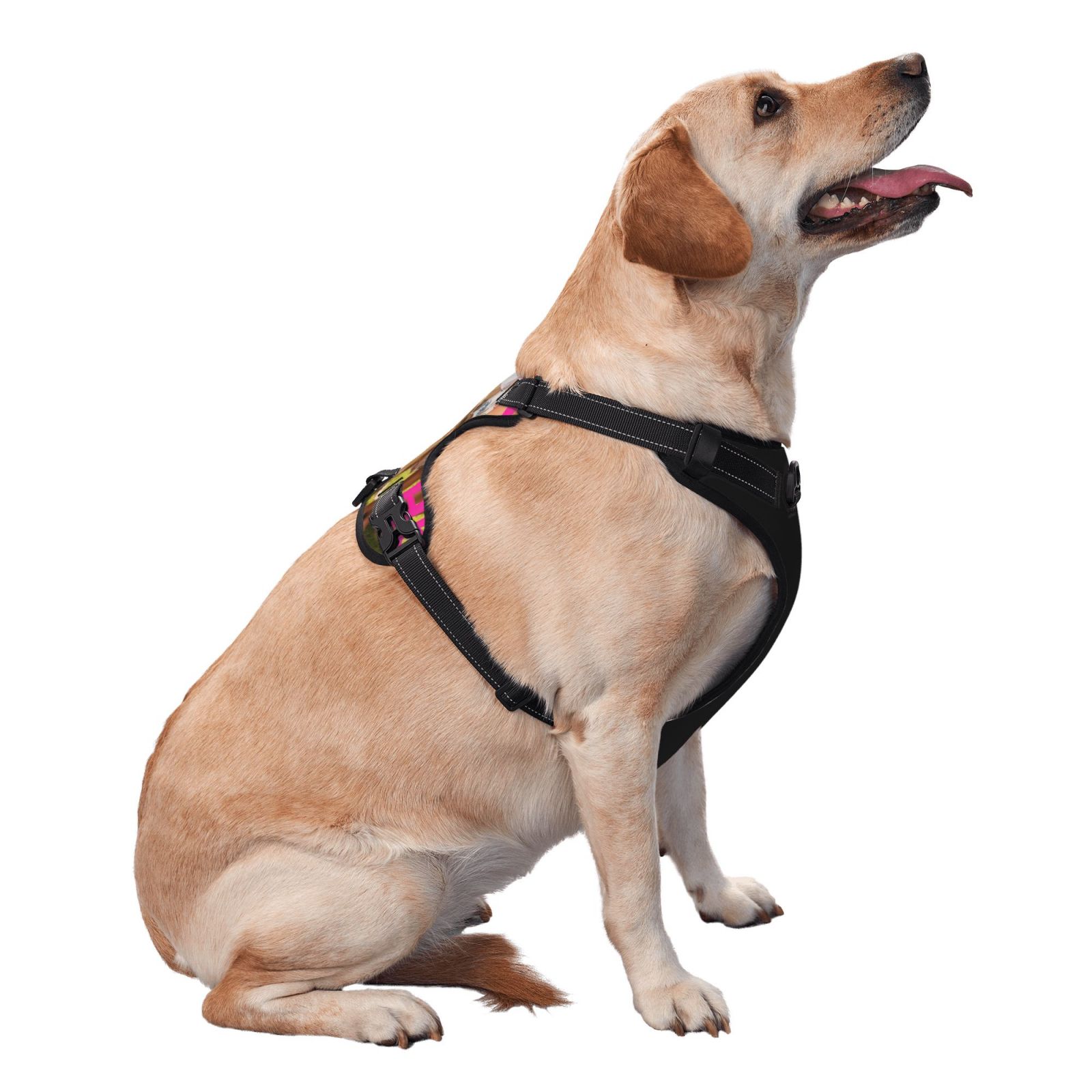 Adjustable No-Pull Dog Harness