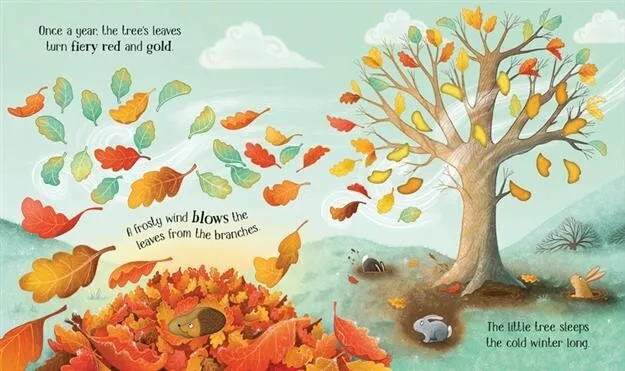 One Little Tree (Life Cycles) by Usborne Books ~ Brand new Board Book
