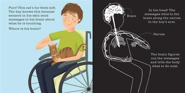 Shine A Light Books The Human Body (Hardcover) Flashlight Book Brand New