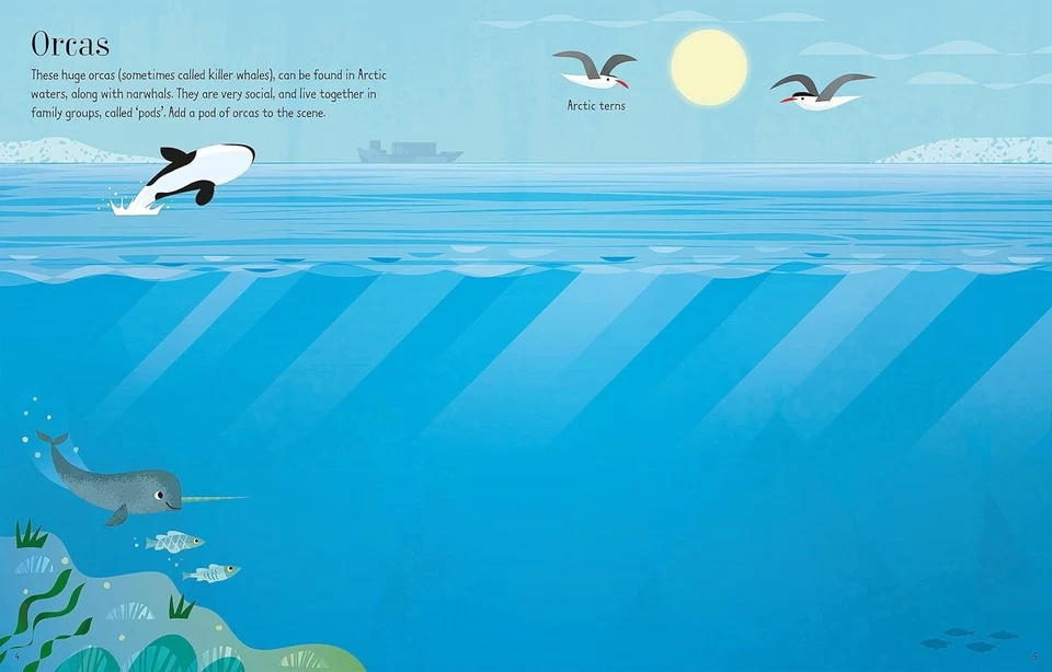 First Sticker Book Narwhals (First Sticker Books) by Usborne Books ~ New