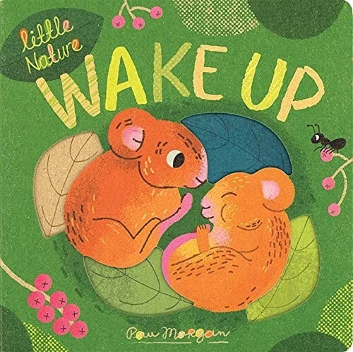 Wake Up (Little Nature) Board book – by Usborne Books ~ Brand New!