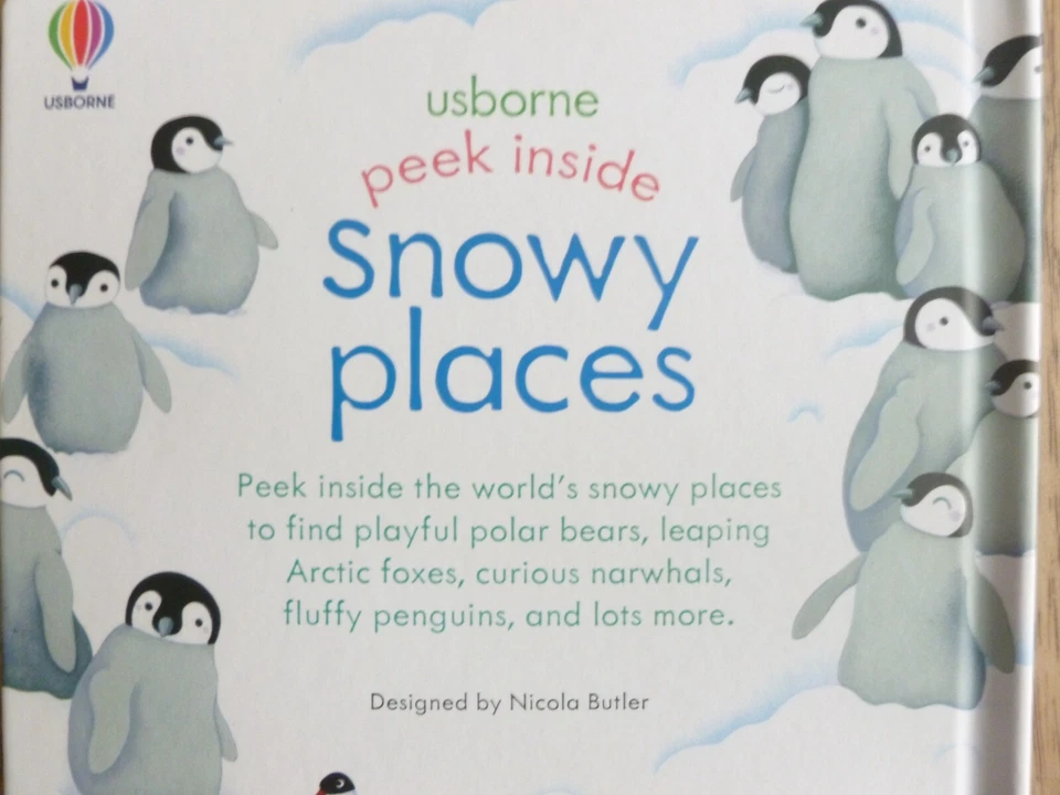 Peek Inside Snowy Places by Usborne Books (hardcover) BRAND NEW!