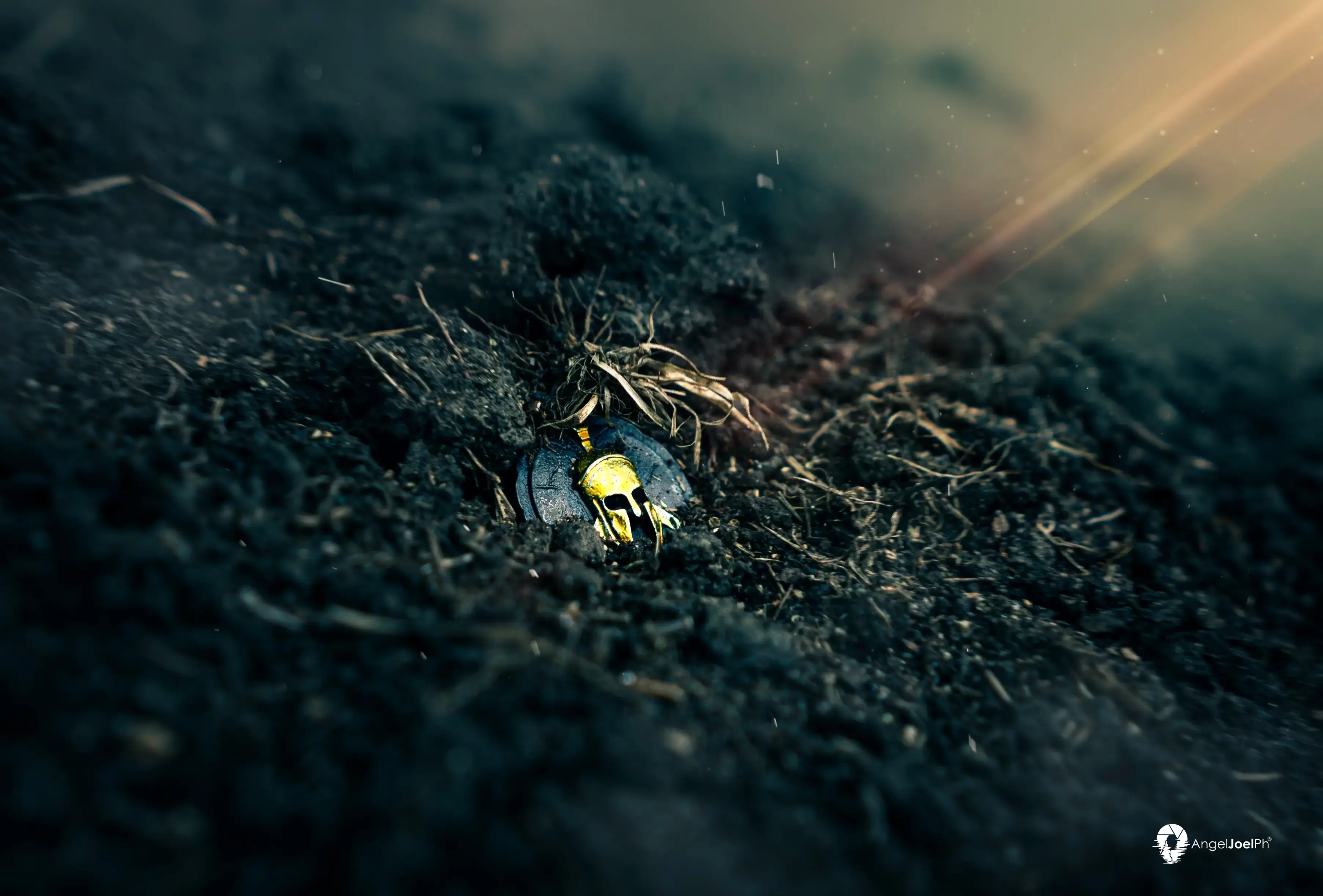 Blood, Steel, and Freedom