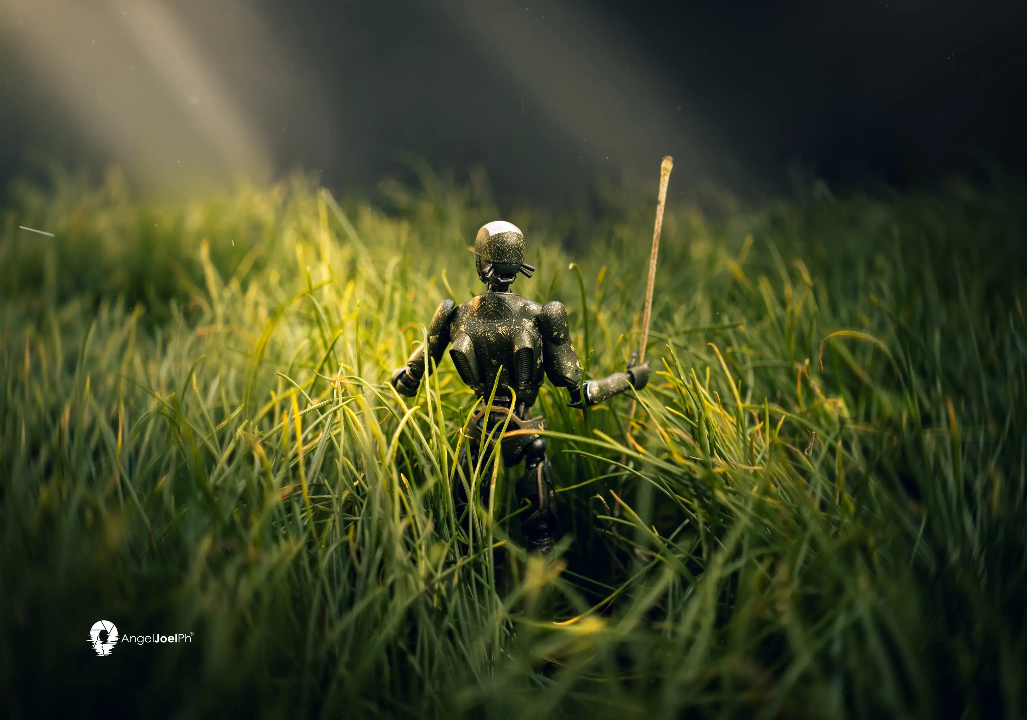 Jimmy Rebel Moon JC1435