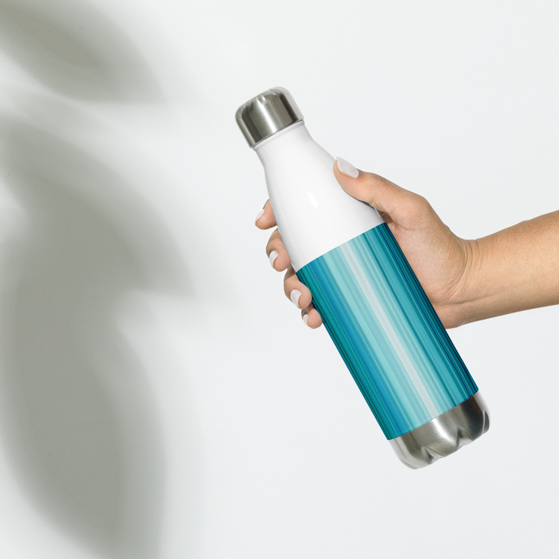 Stainless steel water bottle