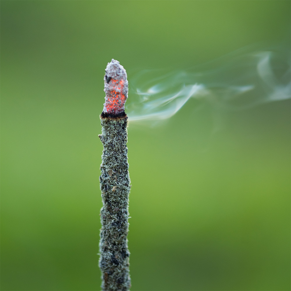 Incienso Blend Masala - Gaia