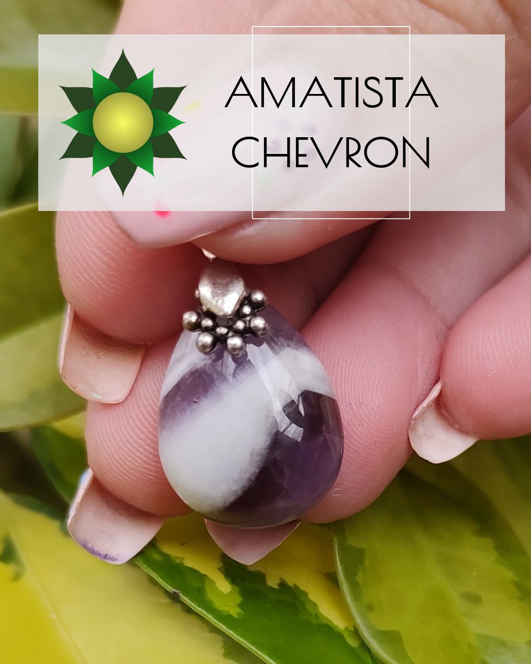 Amatista Chevron