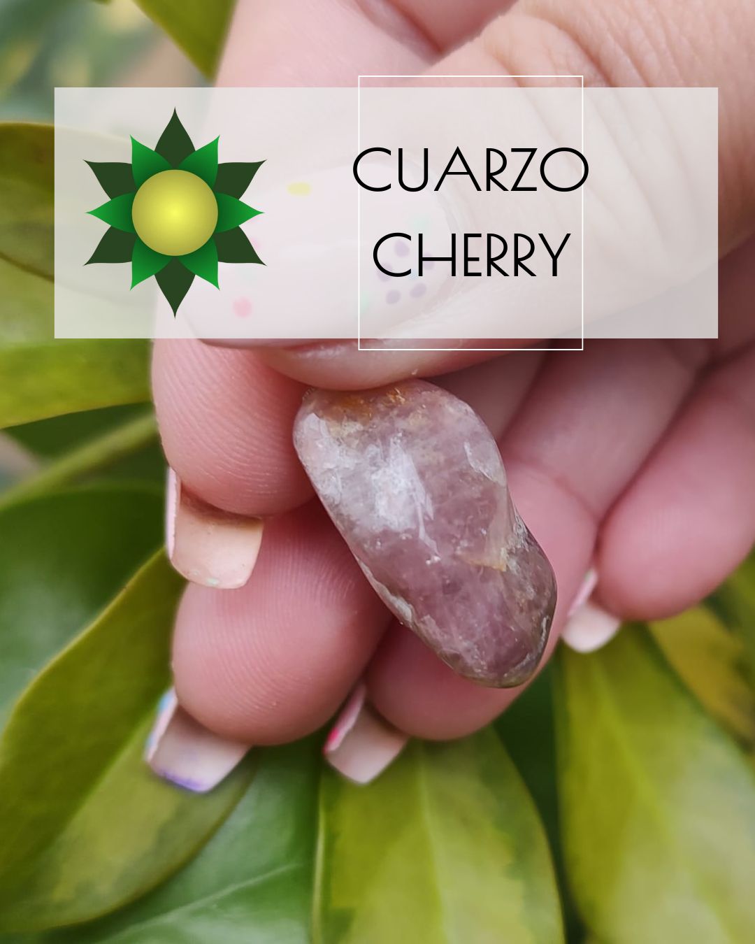 Cuarzo cherry