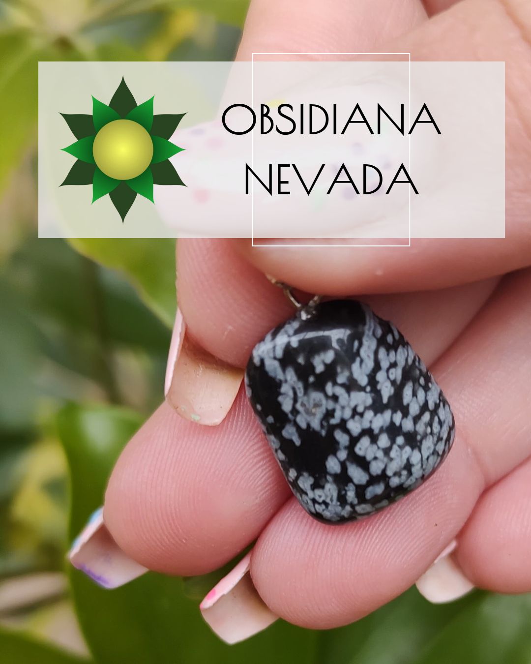 Obsidiana nevada