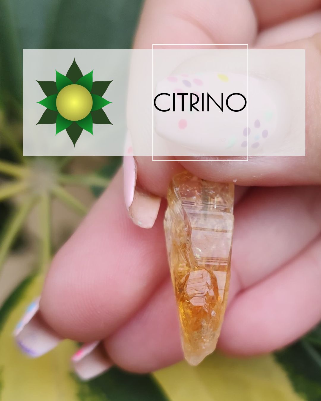 Citrino