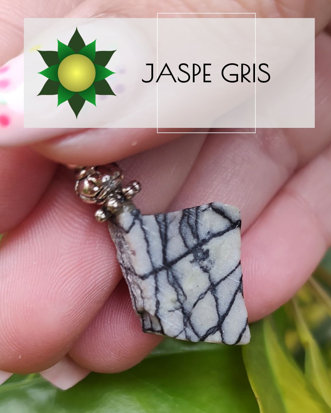 Jaspe gris
