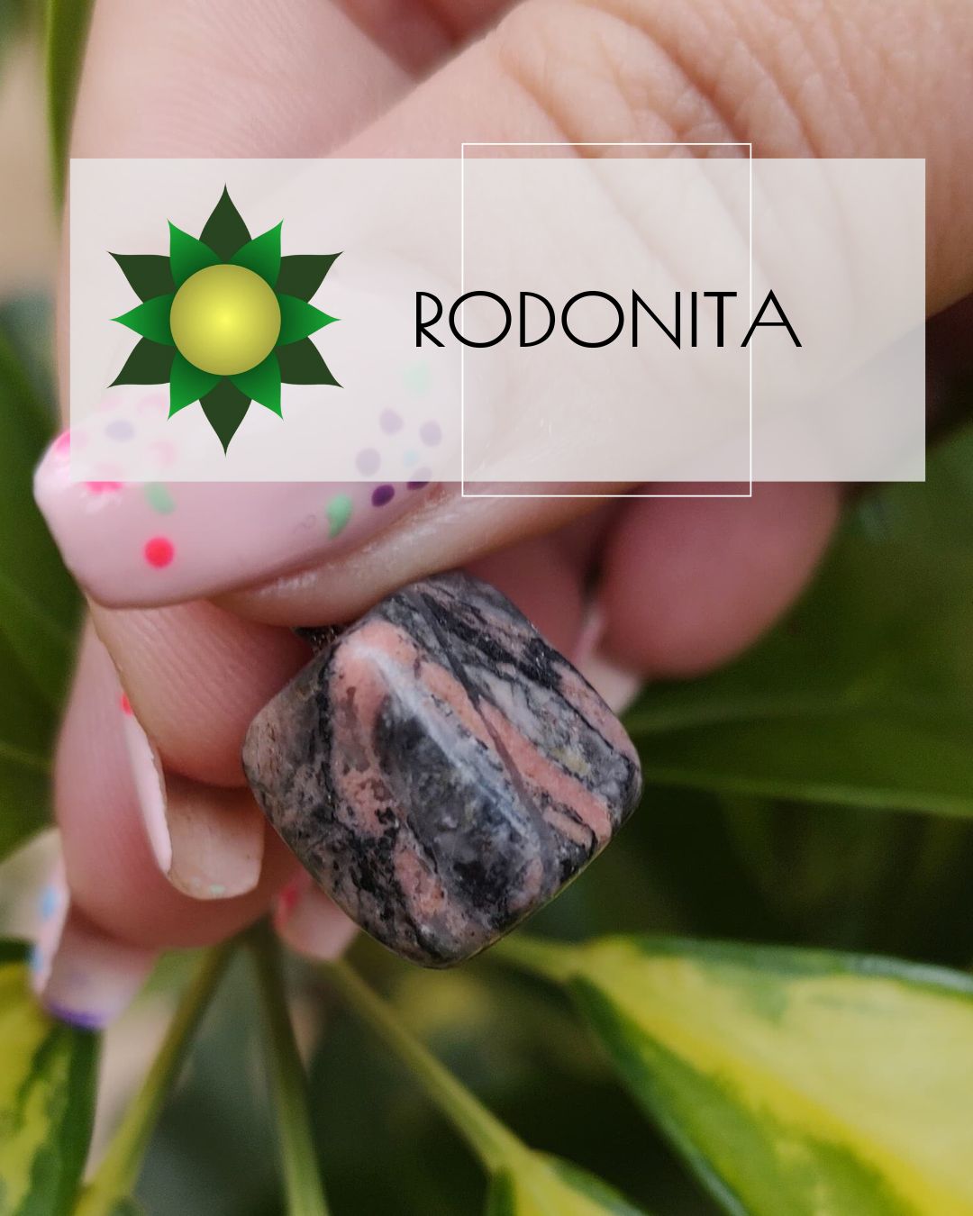 Rodonita
