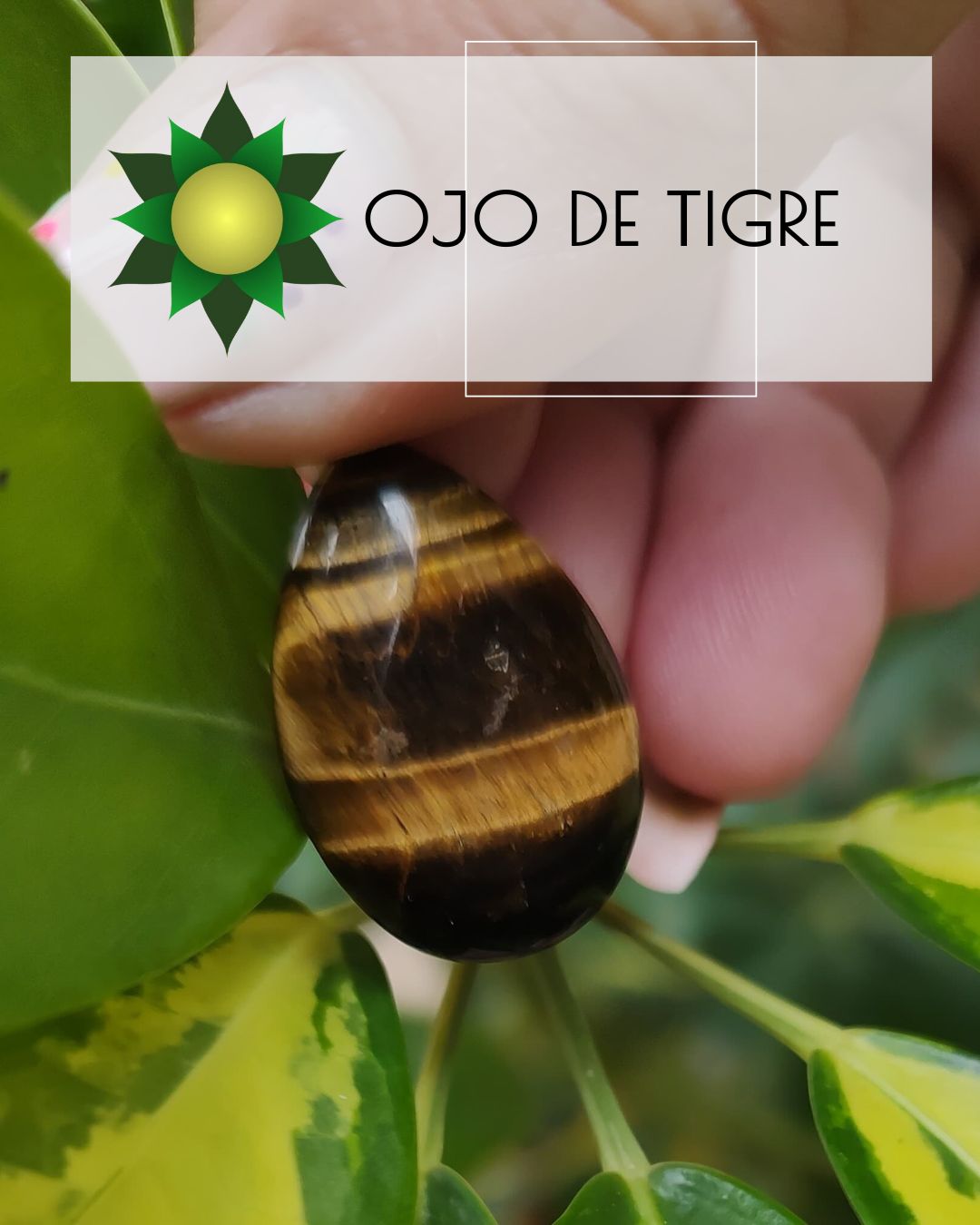Ojo de tigre