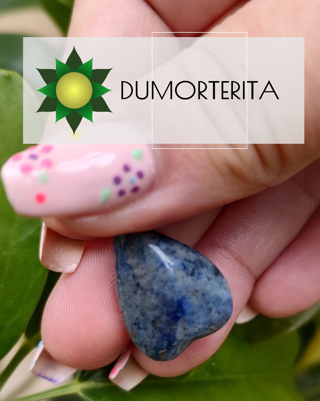 Dumorterita