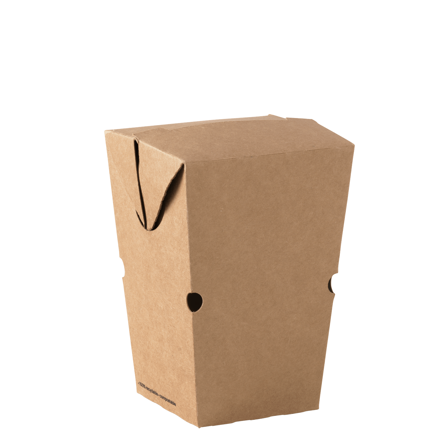 Chip Carton Large