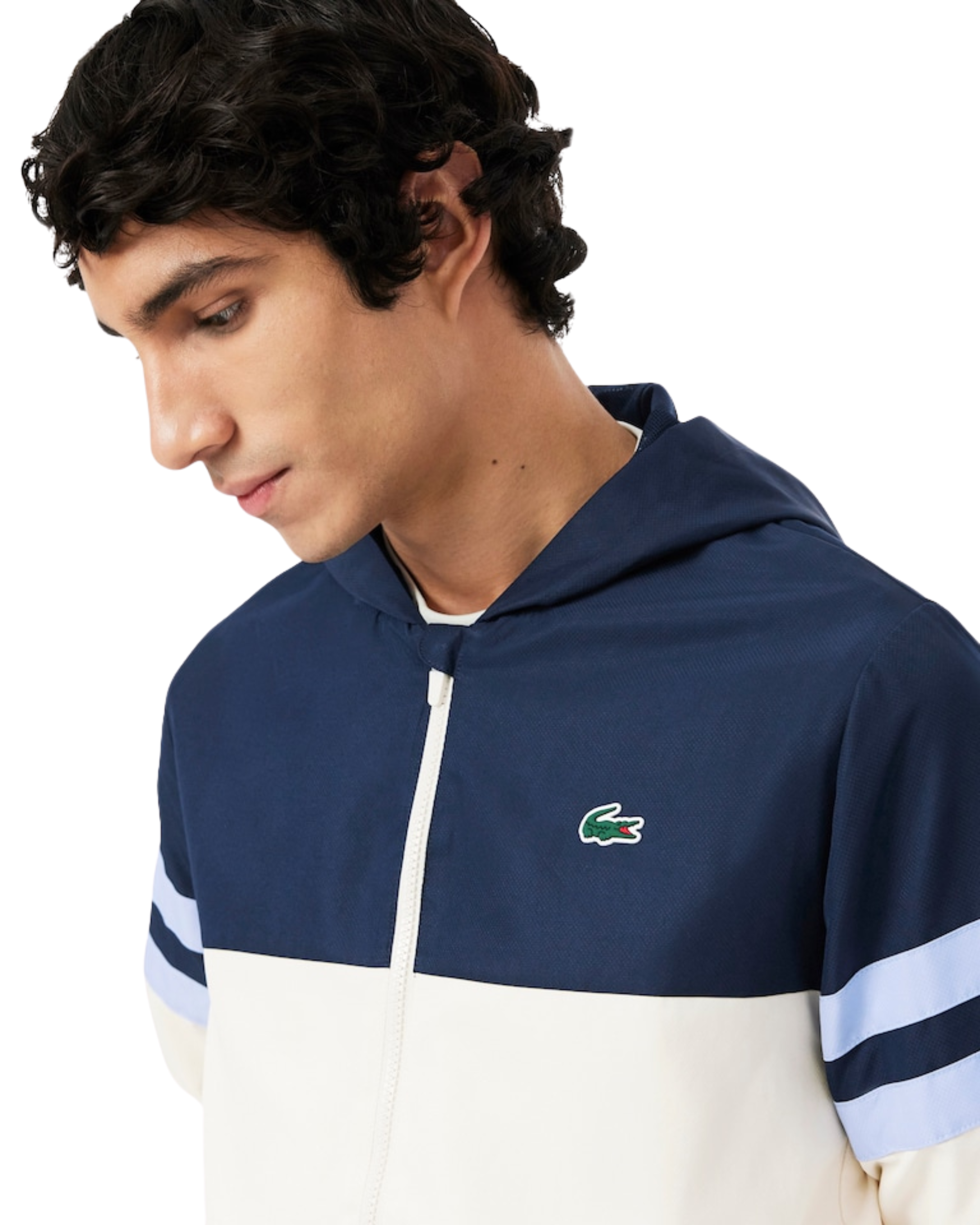 Conjunto deportivo Lacoste