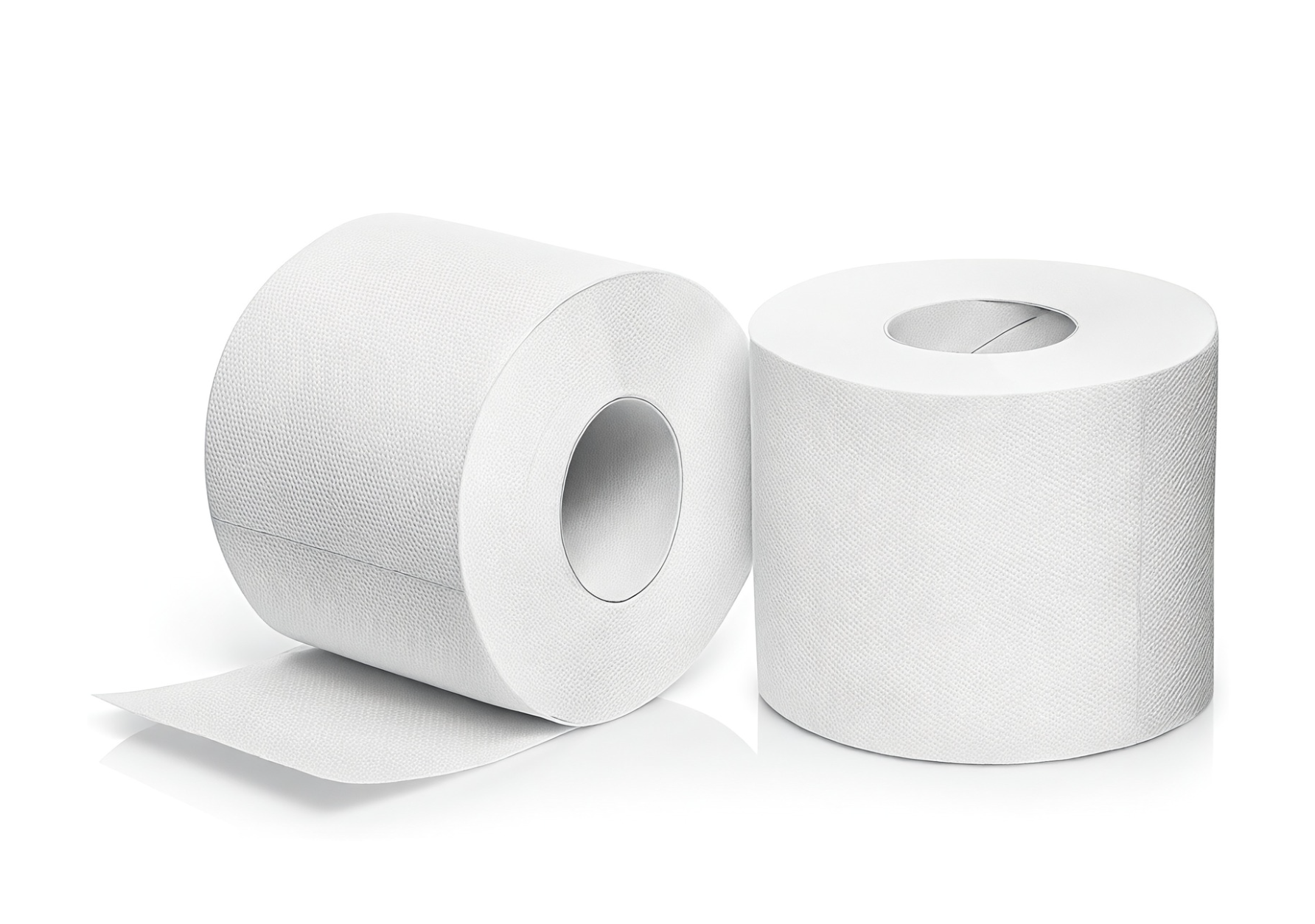 Toilet Tissue 2PLY 400 Sheets CT