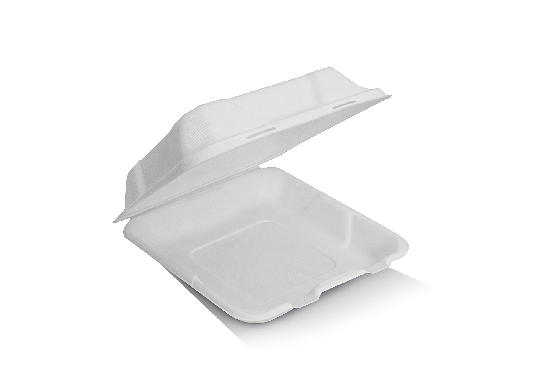 Sugarcane Clamshell 8Inch