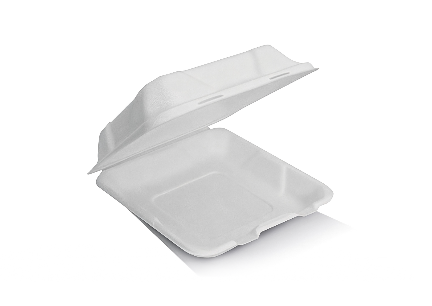 Sugarcane Clamshell 9Inch