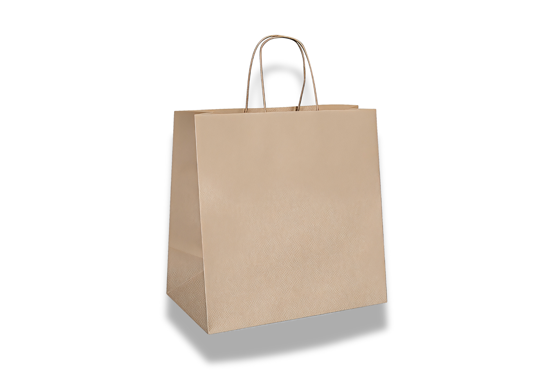 Brown Kraft Bags / Twisted Paper Handle