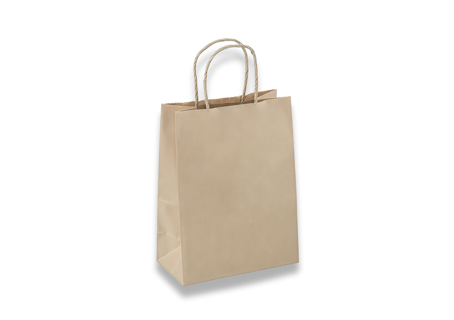 Brown Kraft Bags / Twisted Paper Handle