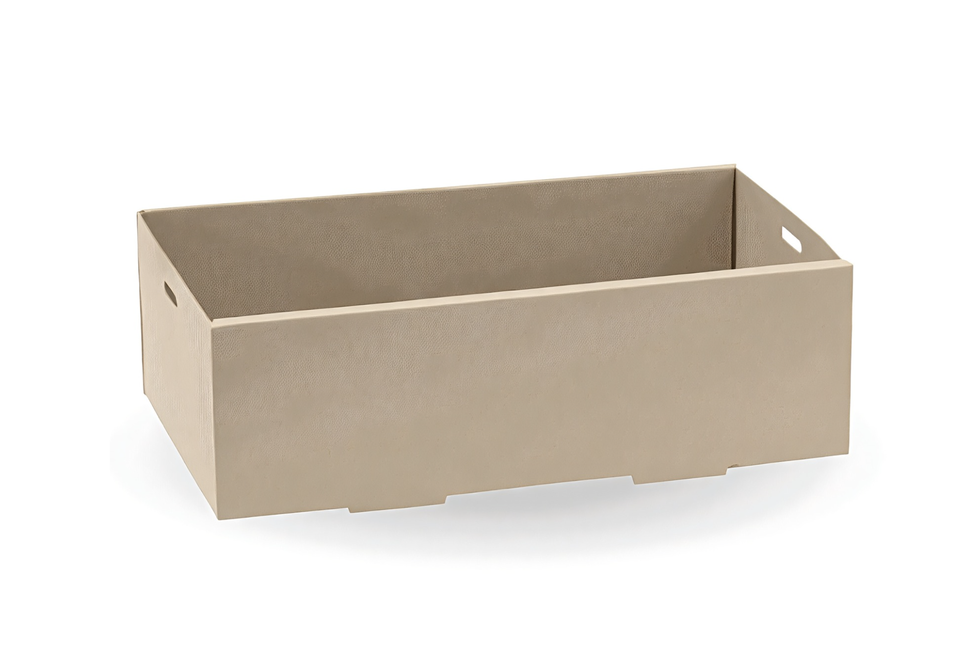 Extra Small Catering Tray