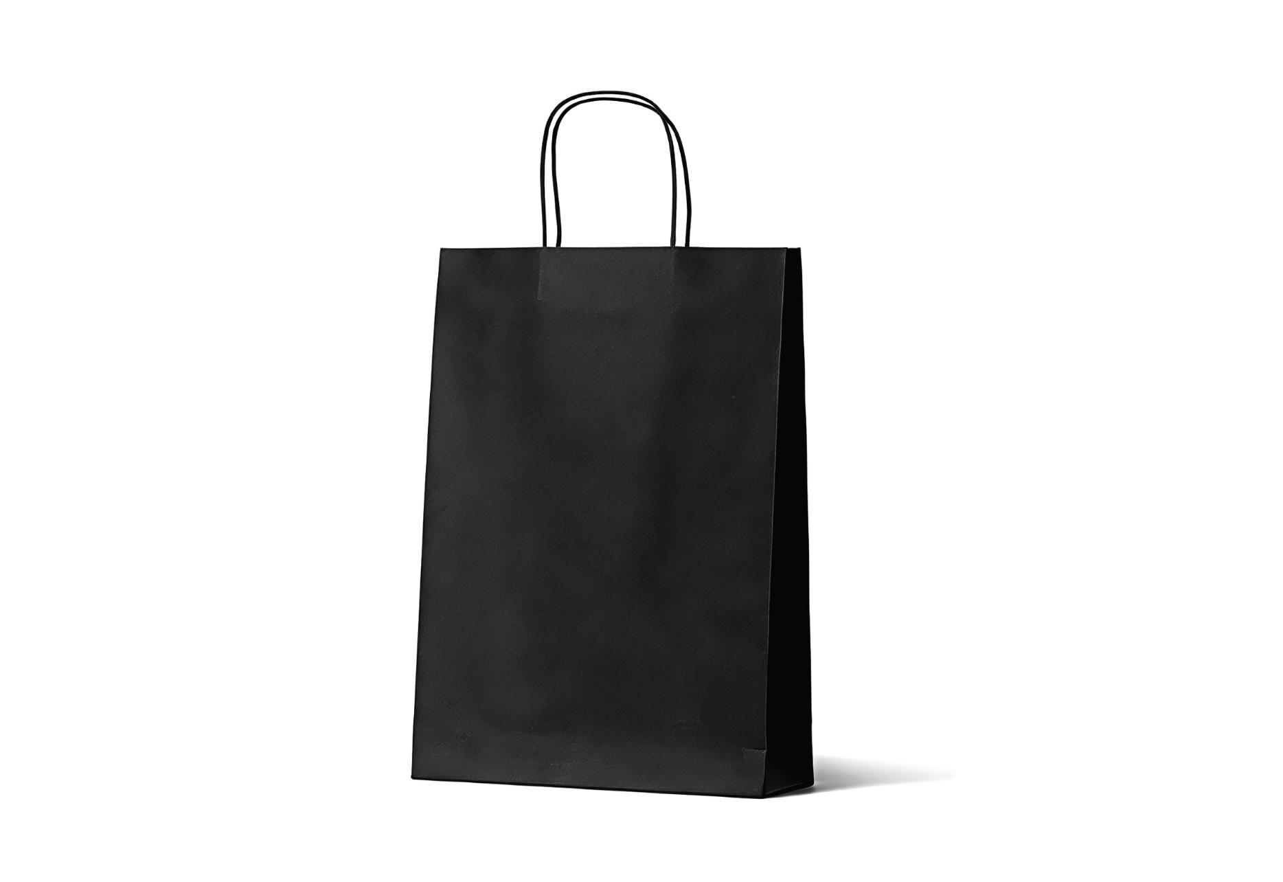 Deluxe Black Paper Bag / Takeaway / Rope Handle 280x340x230MM