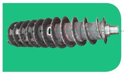 Tornillo Transportador 