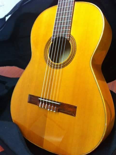 Guitarra GDA-CC2