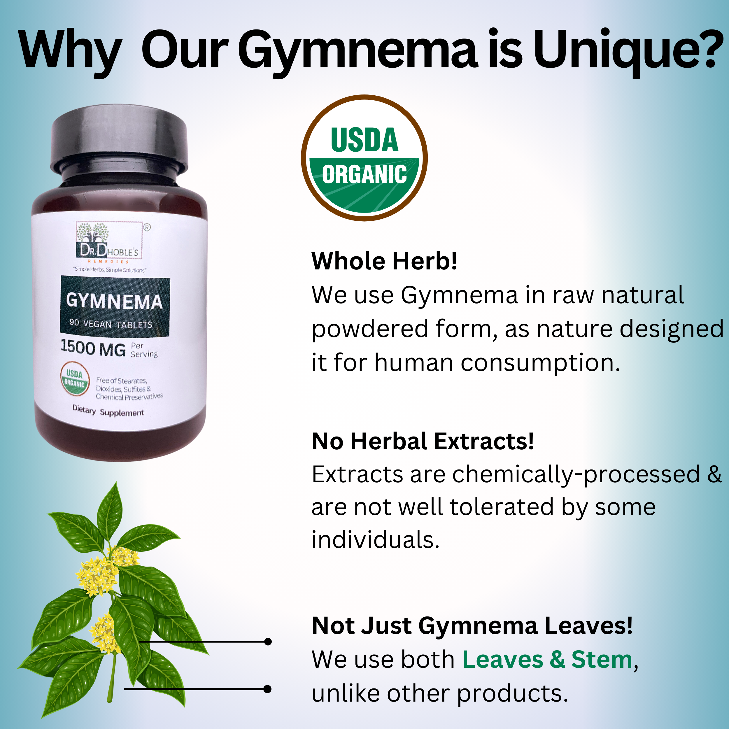 Gymnema Sylvestre (Gudmar), 1500 Mg, No Extracts, Vegan Tablets Uniquely Made with Gum Acacia (Natural Glue), Natural Powdered Gymnema Both Leaves & Stems, USDA Organic, 90 Tabs