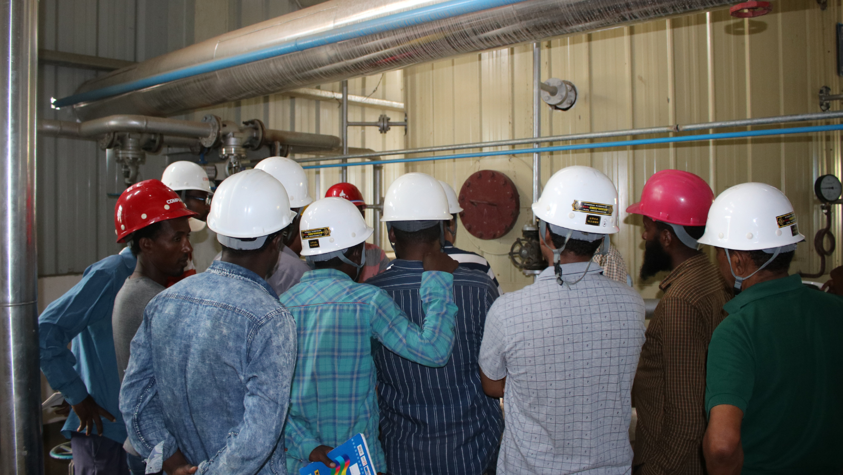 Tier 1: Essential Growth/ starter plan