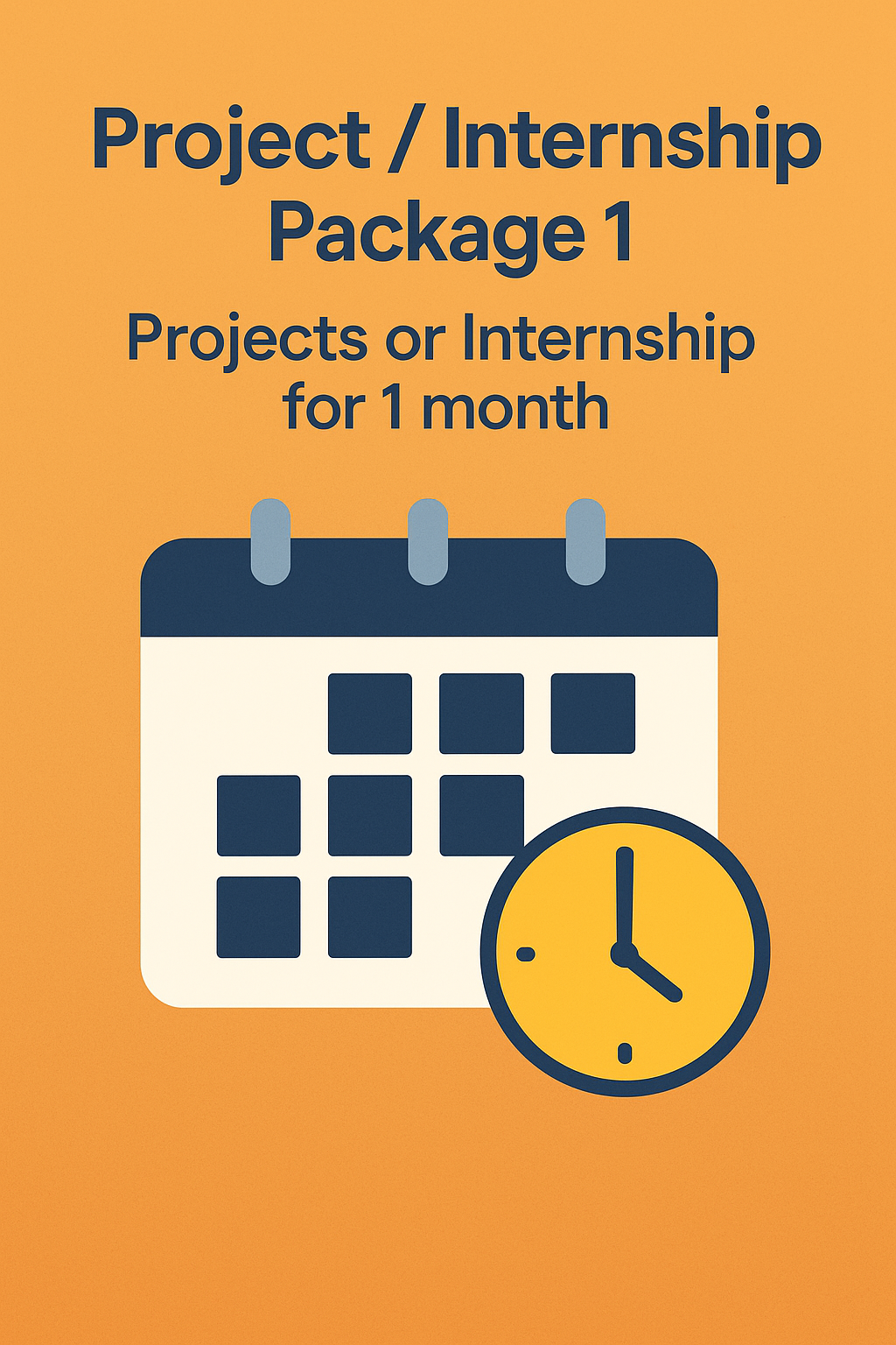 Project / Internship Package