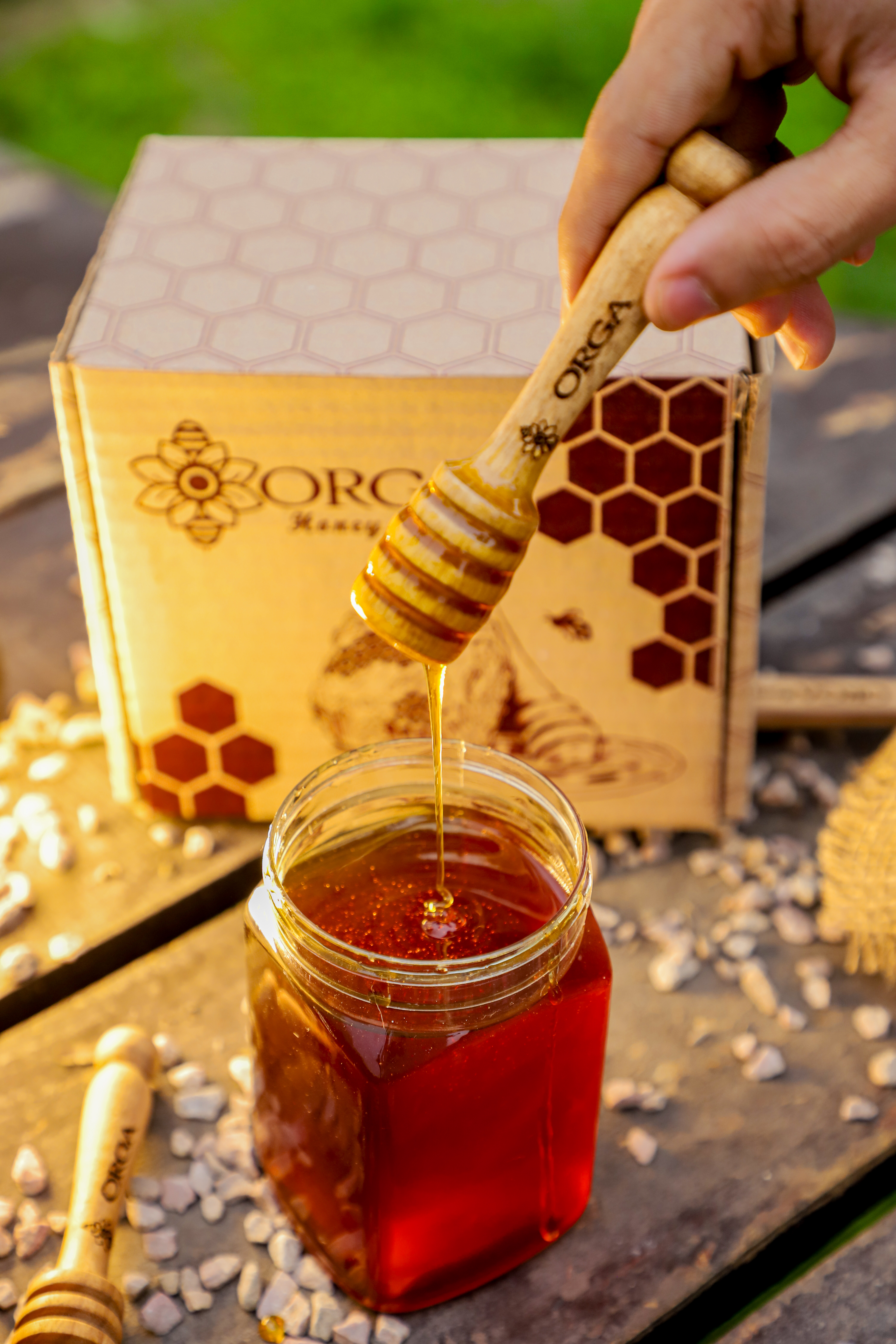 Orga Natural Acacia Honey- 500gm