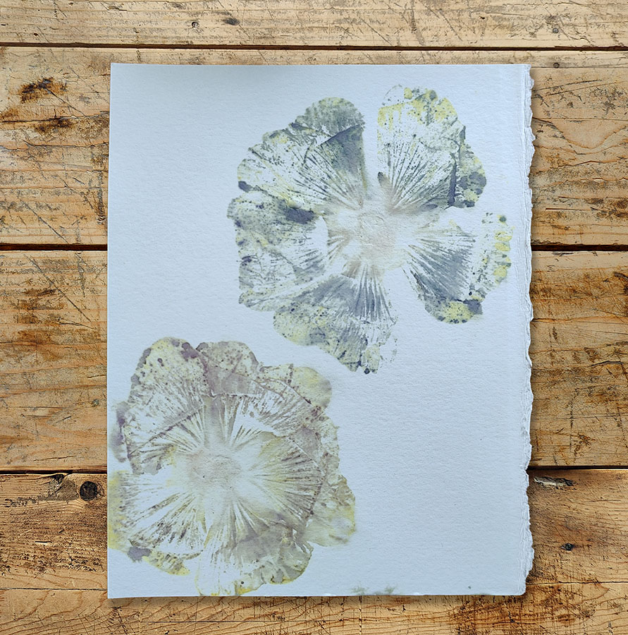 Handcrafted Ecoprint Art Work Cards