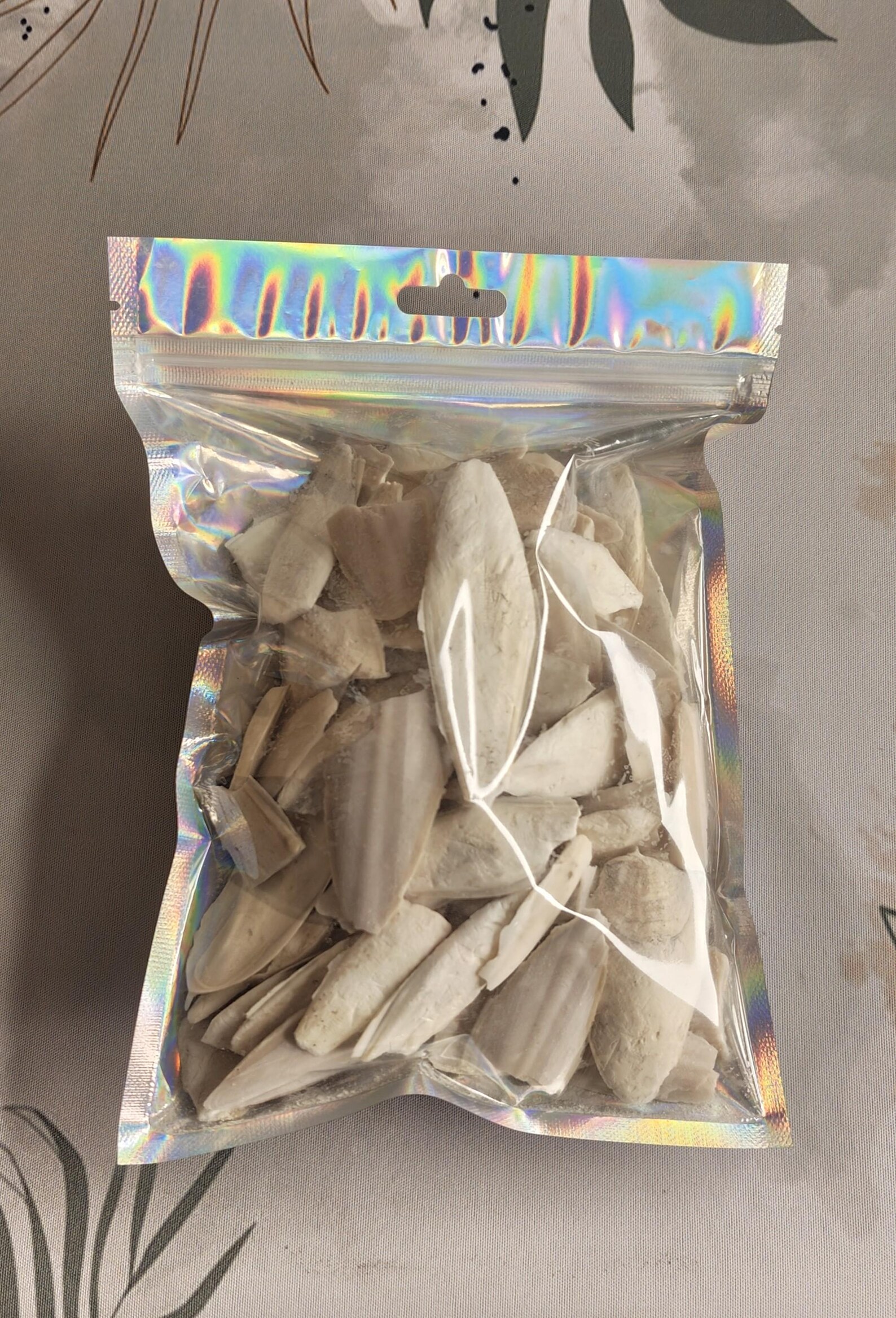 Cuttlefish Bones