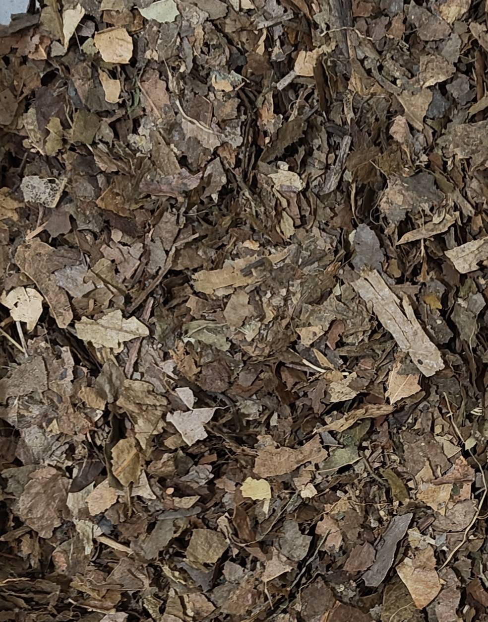 Leaf Litter Mix 1L