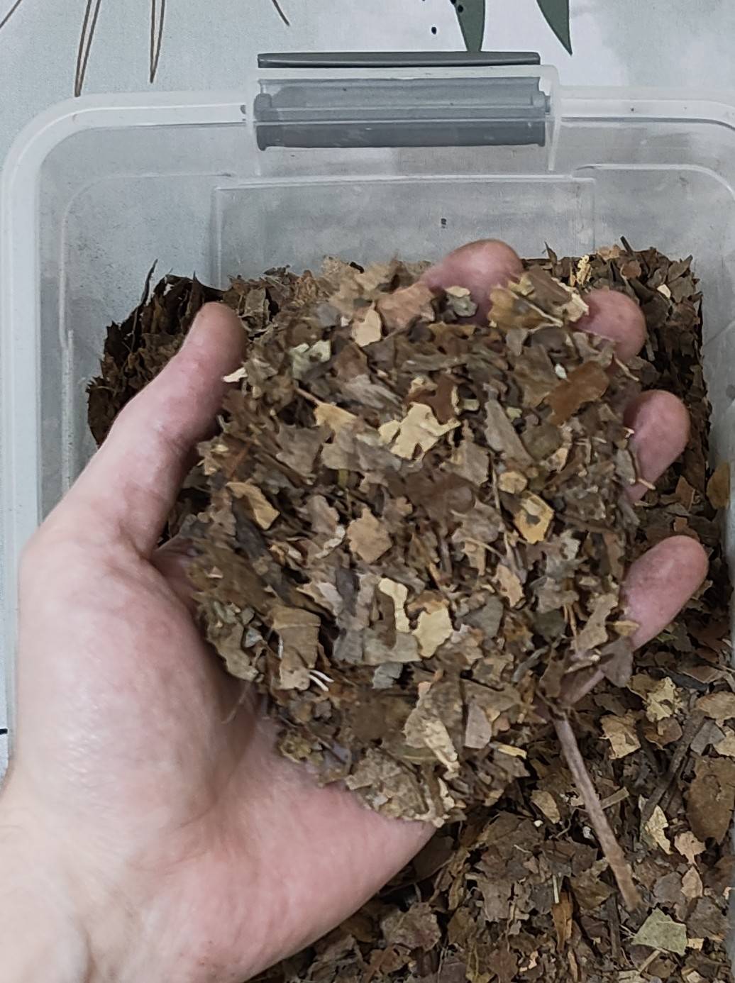Leaf Litter Mix 1L
