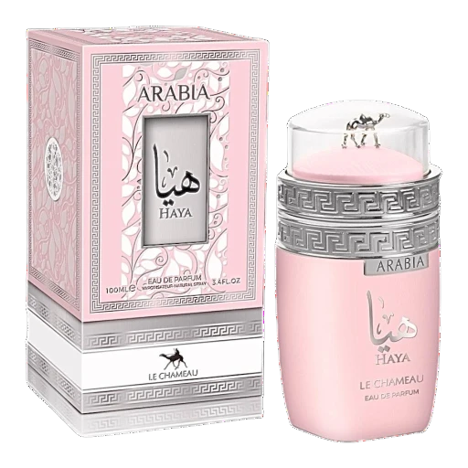 ARABIA HAYA LE CHAMEAU