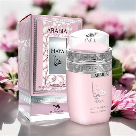 ARABIA HAYA LE CHAMEAU