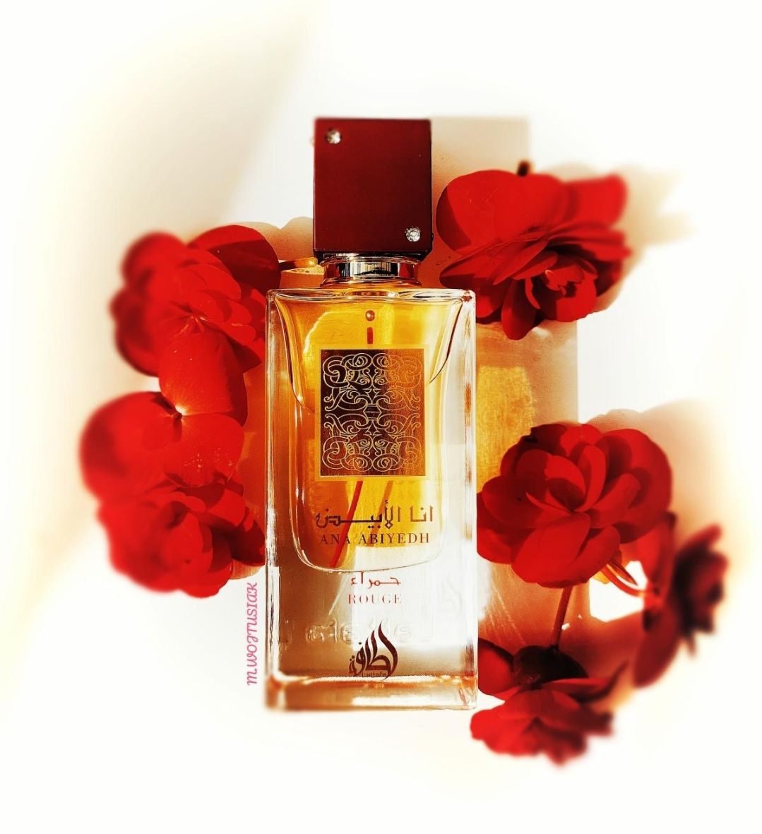 ANA ABIYEDH ROUGE