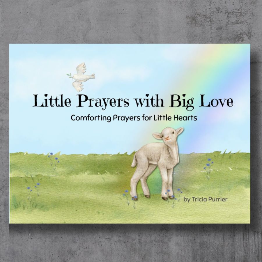 Little Prayers with Big Love: Comforting Prayers for Little Hearts