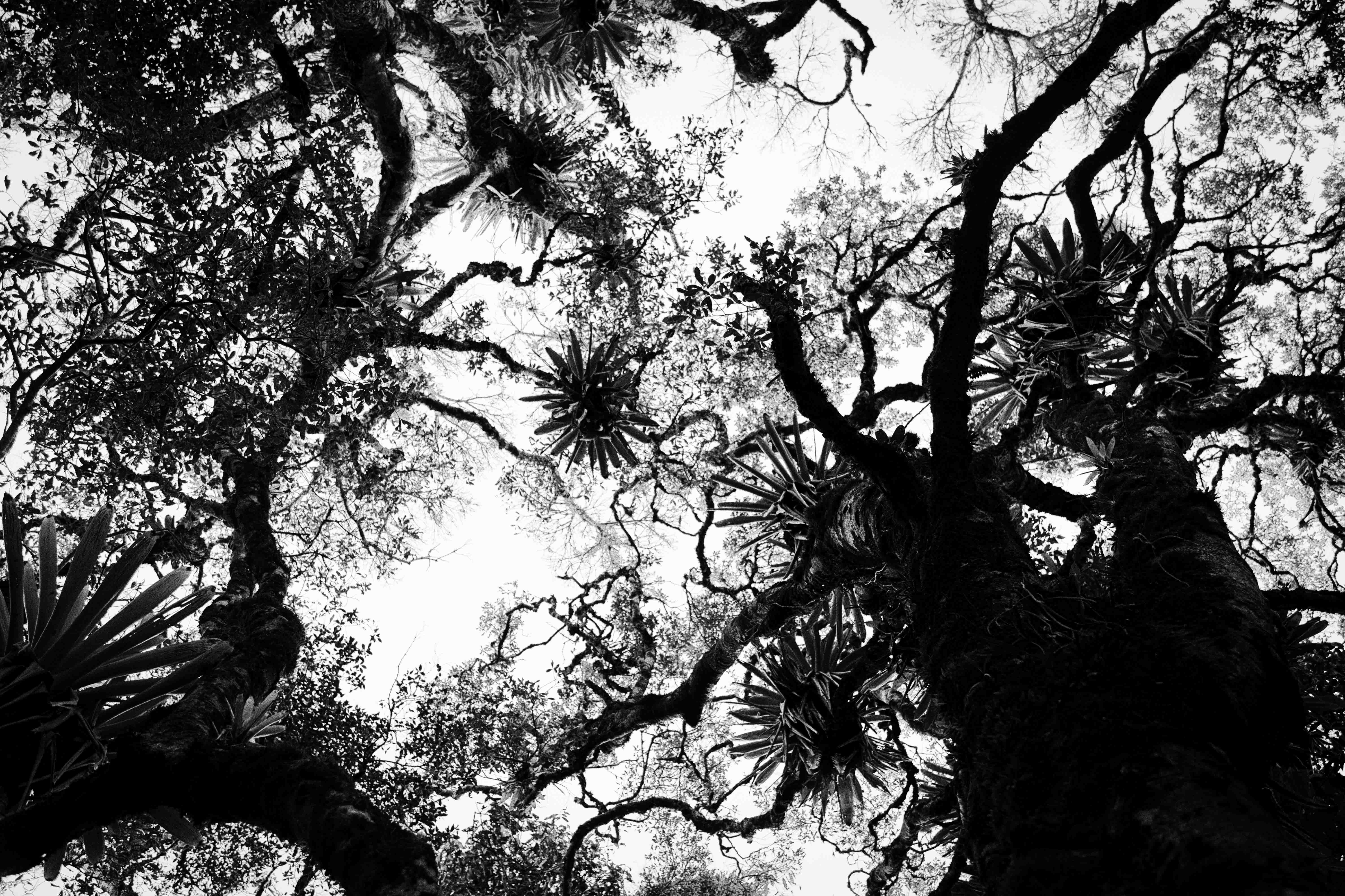 A perfeição geométrica da natureza