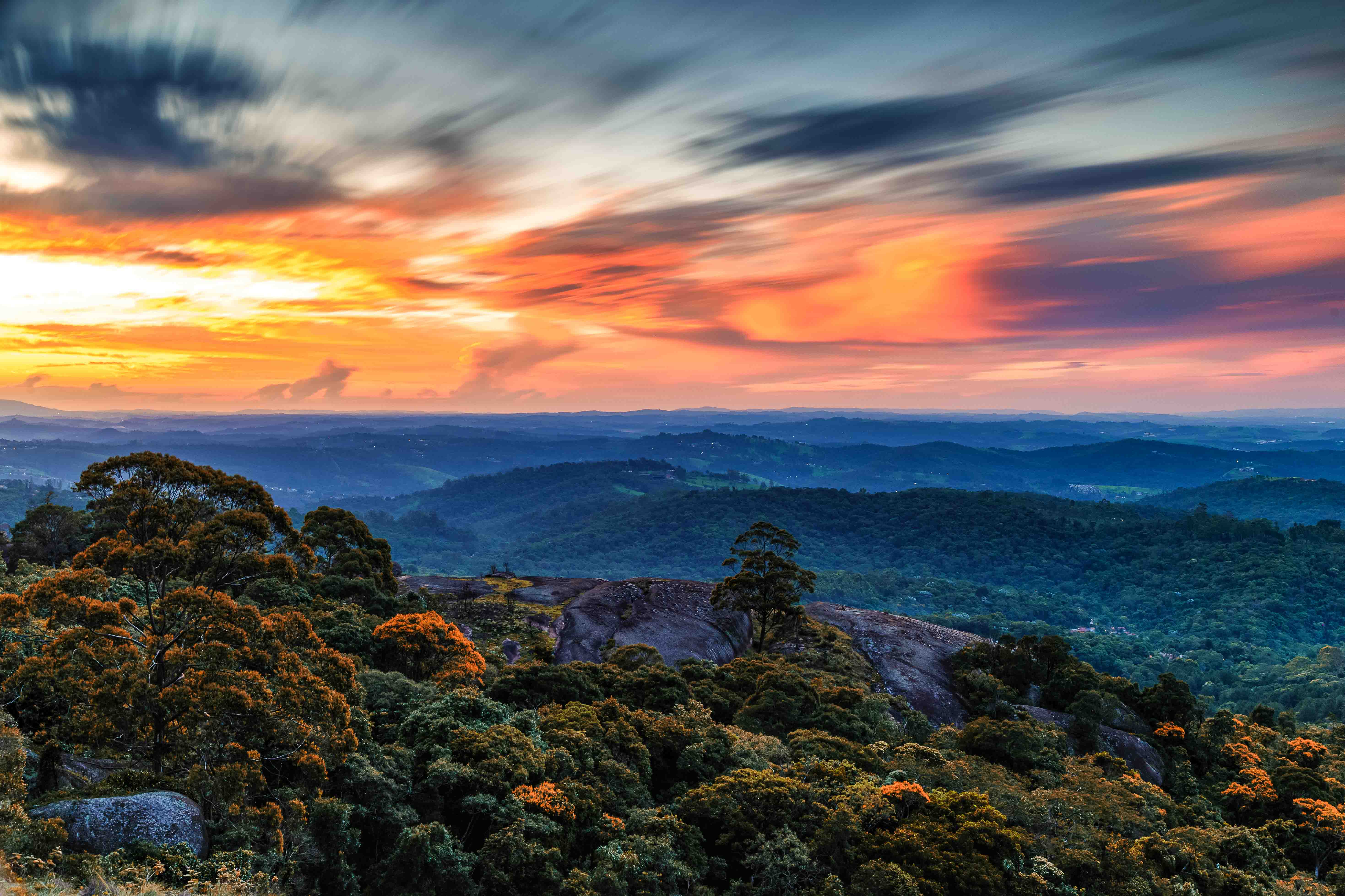 A aquarela da natureza