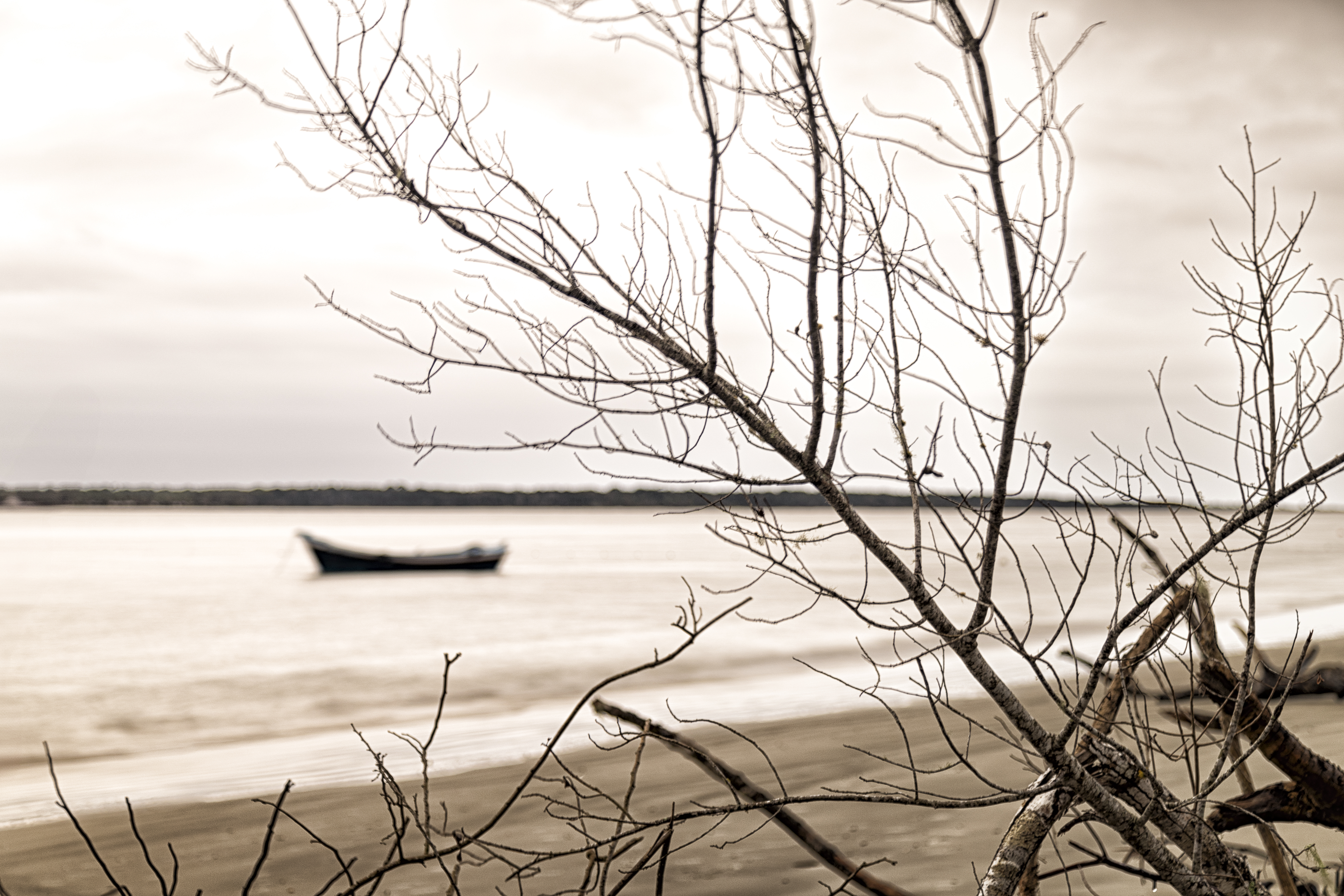 Fotografia de Paisagem Costeira