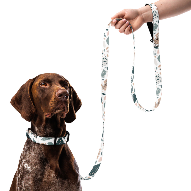 Flower Speckle Pattern Pet Collar and Leash