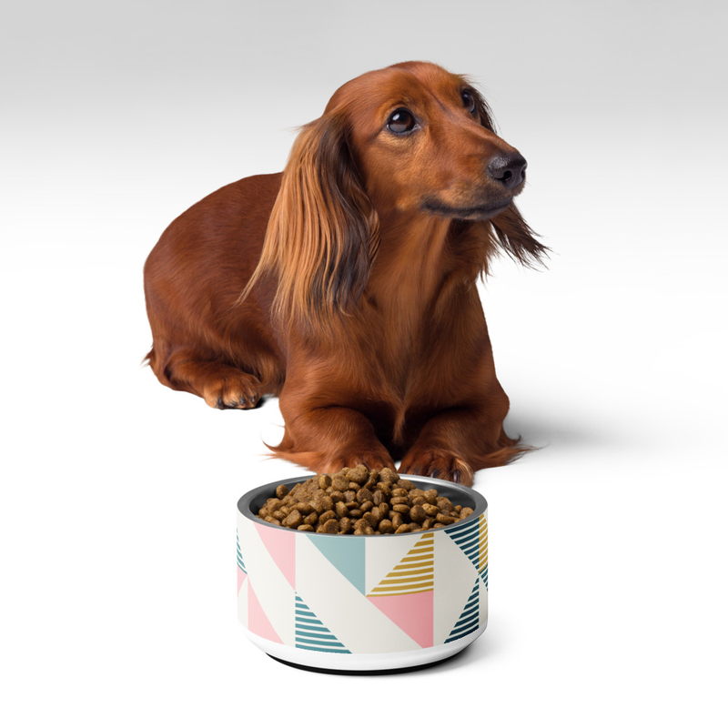 Geometric Colorful Triangles Pattern Pet Bowl