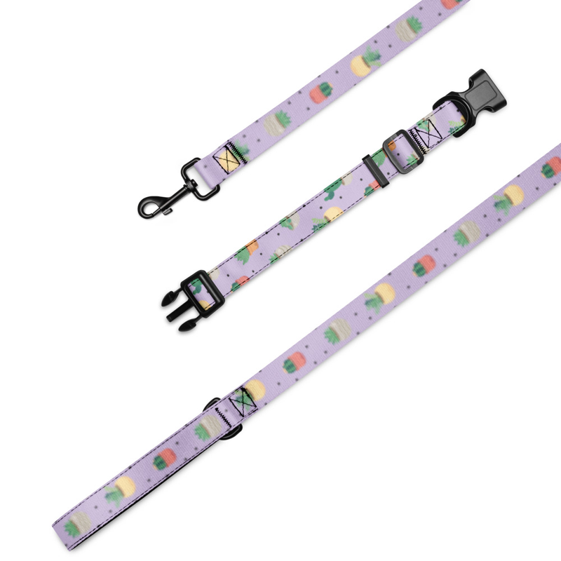 Cactus Pattern Pet Collar and Leash