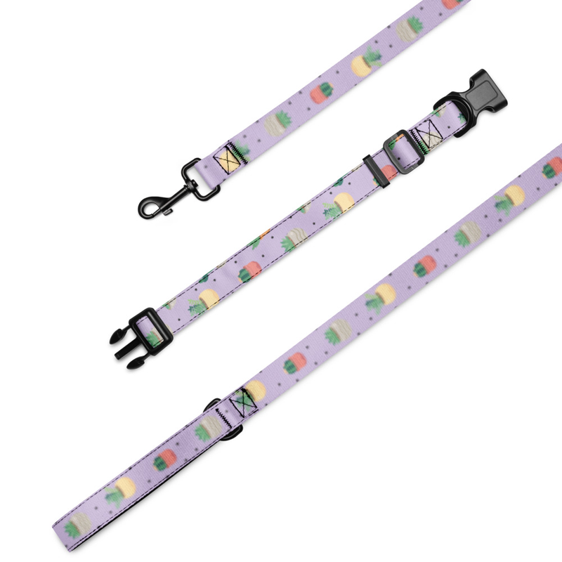 Cactus Pattern Pet Collar and Leash