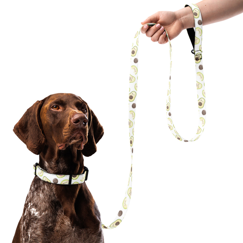 Avacado Print Pet Collar and Leash