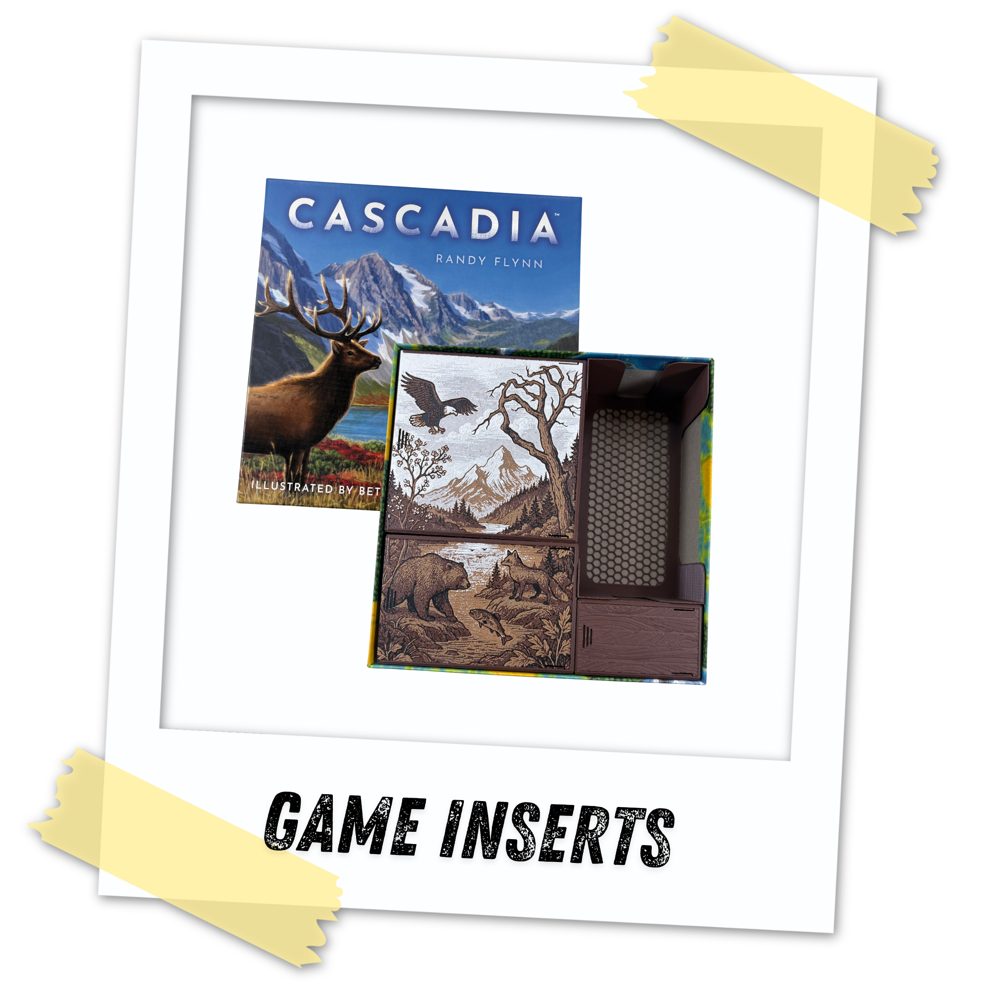 Cascadia Box Organizer